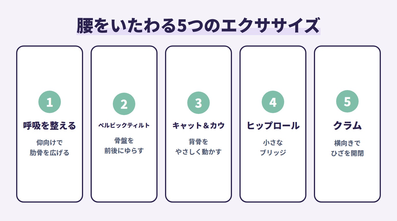 腰をいたわる5つのエクササイズ