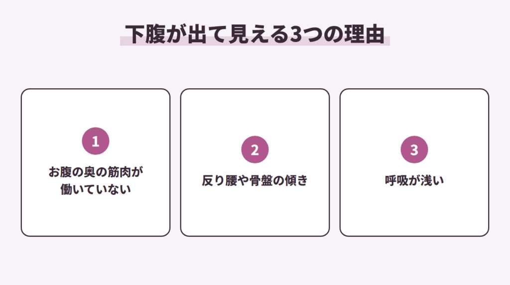 下腹が出て見える3つの理由