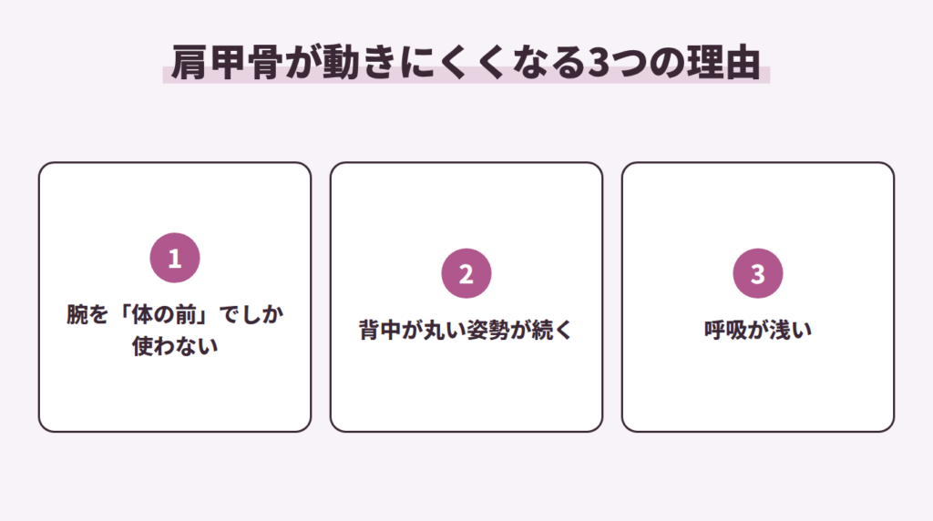 肩甲骨が動きにくくなる3つの理由