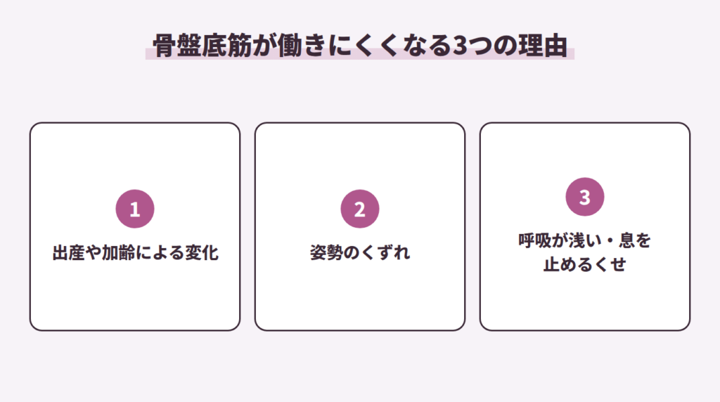 骨盤底筋が働きにくくなる3つの理由